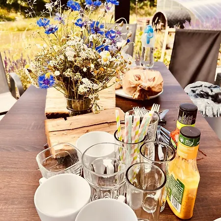 Na Kaszubach - Chabry I Rumianki - Roztoka, Przywidz - Basen Sauna Jacuzzi Kaszuby Holiday home