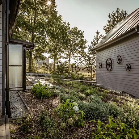 Na Kaszubach - Chabry I Rumianki - Roztoka, Przywidz - Basen Sauna Jacuzzi Kaszuby