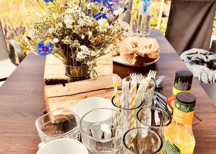 Na Kaszubach - Chabry I Rumianki - Roztoka, Przywidz - Basen Sauna Jacuzzi Kaszuby Ferienhaus