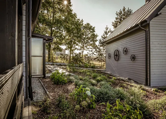 Na Kaszubach - Chabry I Rumianki - Roztoka, Przywidz - Basen Sauna Jacuzzi Kaszuby