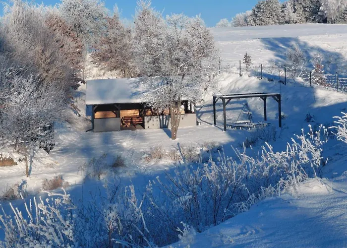 Na Kaszubach - Chabry I Rumianki - Roztoka, Przywidz - Basen Sauna Jacuzzi Kaszuby Ferienhaus *